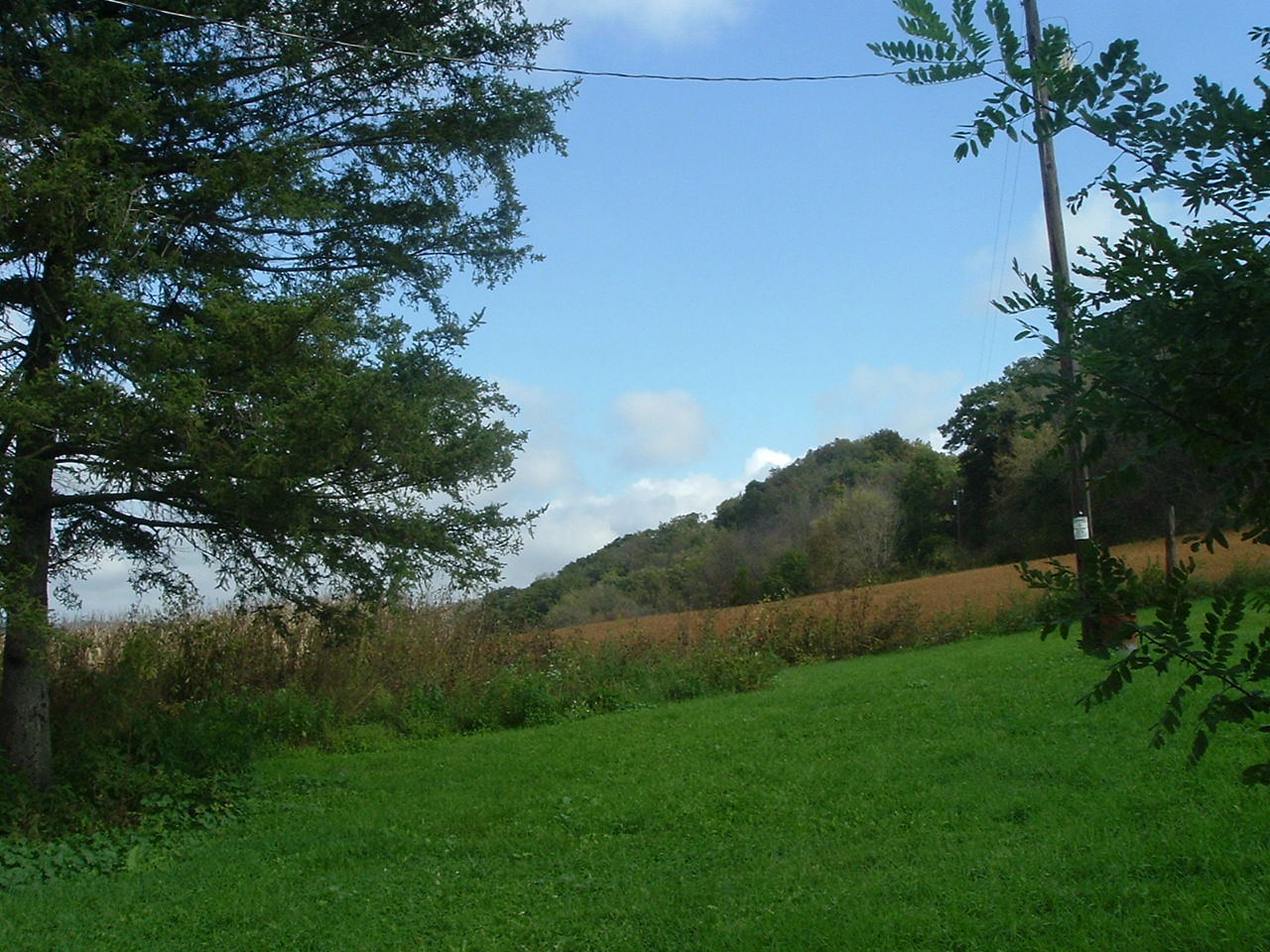 View 5